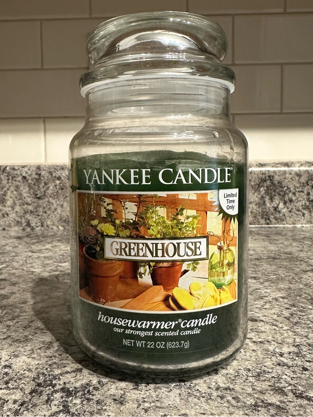 Yankee Candle Greenhouse Large Jar Candle Housewarmer 22oz Retired Used